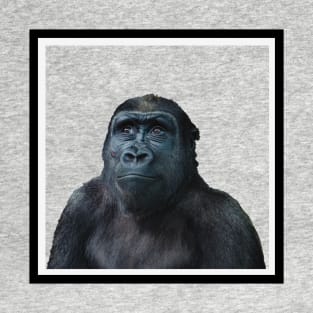 Pocket Gorilla Charity T-Shirt